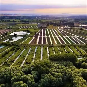 Vol en Montgolfière près de Lille