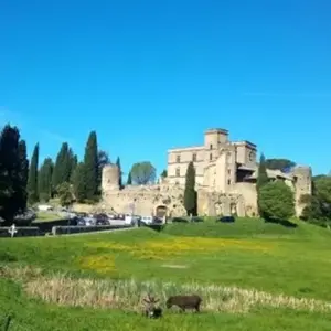 Balade  notouristique dans les Vignobles des Côtes-de-provence