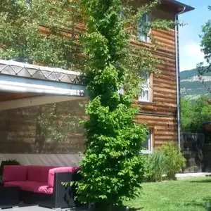Spa et Petit-Déjeuner à Chorges pas cher