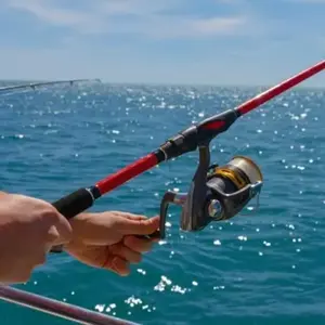 Pêche Côtière en Bateau près de Montpellier pas cher