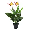 Image de DECOSHOP26 Plante Artificielle Strelitzia Reginae Oiseau de Paradis 66 cm DEC021942
