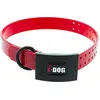Image de Collier pour Chien Premium I-DOG 2.5 x 65cm Boucle I-DOG EP 3.5 mm (Rouge)