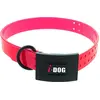 Image de Collier pour Chien Premium I-DOG 2.5 x 65cm Boucle I-DOG EP 3.5 mm (Rose)