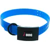 Image de Collier pour Chien Premium I-DOG 2.5 x 65cm Boucle I-DOG EP 3.5 mm (Bleu)