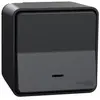 Image de Interrupteur va-et-vient lumineux étanche complet saillie Schneider Electric Mureva Styl anthracite