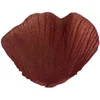 Image de Santex - Sachet de 100 pétales avec feuilles couleur chocolat