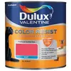 Image de Peinture Color Resist Dulux Valentine - Lessivable et resistante pour Murs & Boiseries - aspect Mat Rouge Eternel 1 L - Dulux Valentine