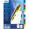 Image de ELBA Jeu d'intercalaires A4 en polypropylène mensuel coloré 12 touches