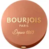 Image de BOURJOIS - Boîte Ronde Blush 85 Sienne - Pinceau & Miroir Intégré - Technologie Fard Cuit - Texture Fine & Légère - Facile À Estomper - Parfum Gourmand