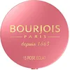 Image de BOURJOIS - Boîte Ronde Blush 15 Rose Eclat - Piceau & Miroir Intégré - Technologie Fard Cuit - Texture Fine & Légère - Facile À Estomper - Parfum Gourmand