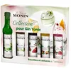 Image de MONIN - Coffret Sirop MONIN Pour Gin Tonic Saveurs Rose/Fleur de Sureau/Fraise/Fruit de la Passion/Concombre - Pour Cocktail Avec ou Sans Alcool - Arômes Naturels - Bouteille en Verre - 5 x 5 cl