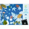 Image de Djeco DJ09338 Lot de 12 feuilles de papier cyanotype