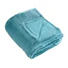 Image de Linder Couverture Polaire uni Turquoise - 180x220cm - Turquoise