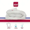 Image de ABEIL Couette légère ICEBERG 240x260cm