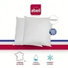 Image de ABEIL Lot de 2 Oreillers moelleux ICEBERG 60x60cm