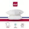 Image de ABEIL Lot de 2 Oreillers Aerelle® Cool Night - 60 x 60 cm - Blanc