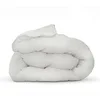 Image de Abeil Couette Anti-acariens - 220 x 240 cm - Chaude - 400 g/m² 2 Personnes - Blanc