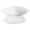 Image de ABEIL Lot de 2 Oreillers FluffyDream® 60 x 60 cm