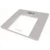Image de TERRAILLON TP1000 GLASS 15435 TP1000GLASS