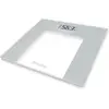 Image de TERRAILLON - TP 1000 GLASS
