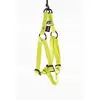 Image de Harnais Baudrier Classique en Nylon