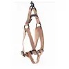 Image de Martin Sellier : Baudrier Chien : Tour 35/50cm, Beige