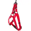 Image de Martin Sellier - Harnais Baudrier 20-50/70 - Rouge