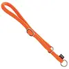 Image de Martin Sellier Collier Chien Semi-étrangleur idéal pour l'éducation à ne Pas Tirer Tour de Cou réglable (Orange)