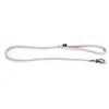 Image de Martin Sellier : Laisse Chien : Nylon, L.100cm, Gris