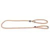 Image de Martin Sellier - Laisse Collier Semi-étrangleur 180cm - Beige