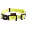 Image de Collier nylon réglable - vert - 25 à 45 cm - 65 mm
