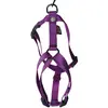 Image de Martin Sellier - Harnais confort en nylon mauve Martin Sellier 50-70 cm