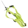 Image de Martin sellier - 12118.2 - Harnais réglable 70/90cm vert