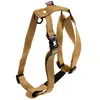 Image de Martin-Sellier - Harnais pour chien - confort nylon beige (70/90cm x 25mm)