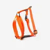 Image de Harnais confort chien orange
