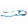 Image de Martin Sellier   Laisse pour Chien Nylon Confort