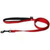 Image de Laisse double épaisseur nylon uni largeur 25cm et long 60cm Rouge