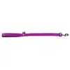 Image de Laisse chien en nylon double avec poignée confort 60 cm mauve