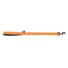 Image de Laisse double épaisseur nylon uni largeur 25cm et long 60cm Orange