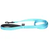 Image de Martin-Sellier - Laisse pour chien - nylon double épaisseur turquoise (120cm x 25mm)
