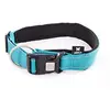 Image de Martin Sellier Collier Neo+ Bleu 40-50/70CM
