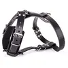 Image de Martin Sellier Harnais Cuir 21/65 Noir