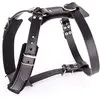 Image de Martin Sellier Harnais d'intervention Cuir pour Gros Chien réglable Protection Colonne vertébrales et épaules (Noir 65 < 73cm)