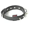 Image de Martin-Sellier - Collier pour chien - cuir clouté - Super confort (70cm x 40mm)
