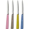 Image de Opinel - Boîte de 4 Couteaux de Table N°125 Bon Appétit Campagne - Lame Acier Inox - Manche Charme - Fabrication Française - Rose, Gris, Tilleul et Azur