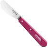 Image de Opinel Couteau de Table Multicolore