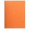 Image de Lot de 25 Chemise Carte lustrée 3 rabats, coloris orange