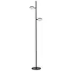 Image de Aluminor DECLIC 2 N LAMPADAIRE, Noir