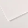 Image de Lot de 10 Feuille Mi-Teintes® 75x110 160g/m², coloris blanc 335