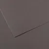 Image de Lot de 10 Feuille Mi-Teintes® 50x65 160g/m², coloris gris ardoise 345